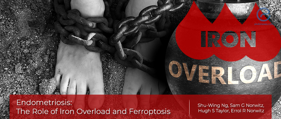 Endometriozis ve Adenomyozis Derneği
