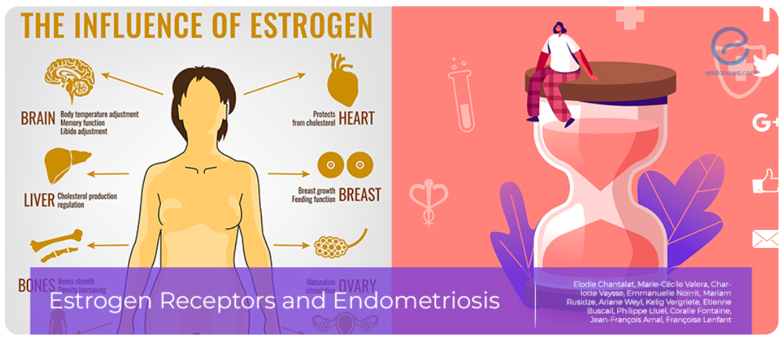 Endometriozis ve Adenomyozis Derneği